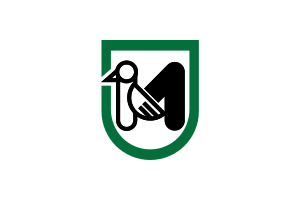 flag of Marche ITI3