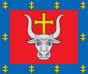 flag of Kaunas County LT022