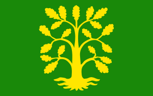 vlajka Vest-Agder NO042