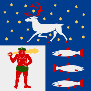 flag of Västerbotten County SE331