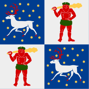 flag of Norrbotten County SE332