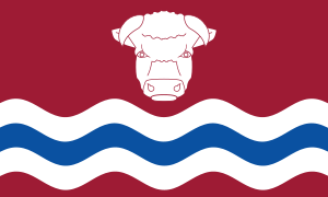 vlajka Herefordshire UKG11