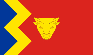 flag of Birmingham UKG31
