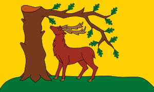 vlajka Berkshire UKJ11