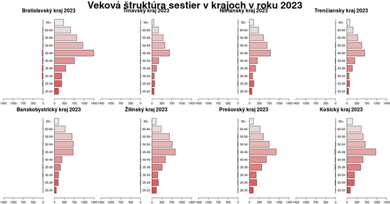 Veková štruktúra sestier v krajoch