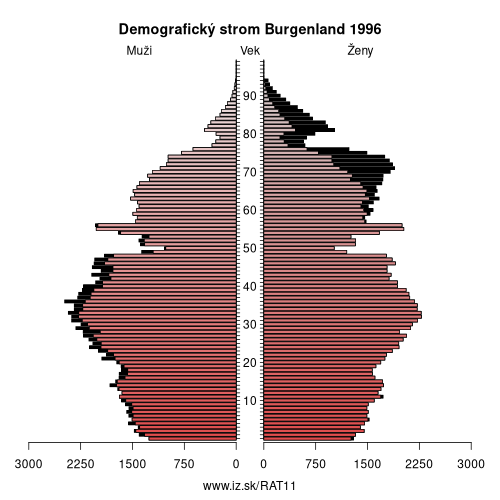 demograficky strom AT11 Burgenland 1996 demografická pyramída