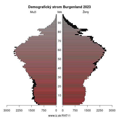 demograficky strom AT11 Burgenland demografická pyramída