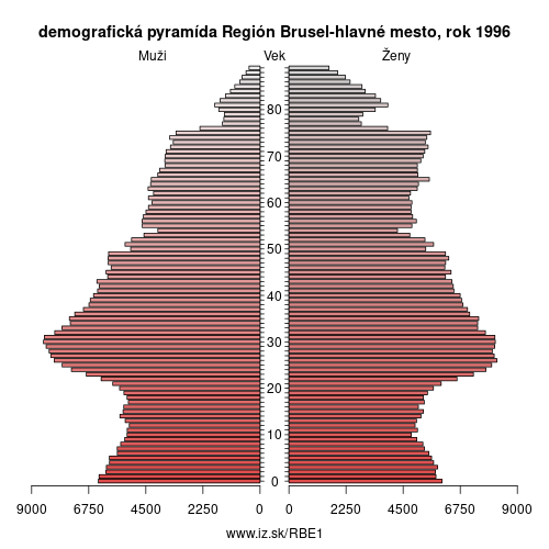demograficky strom BE1 Región Brusel-hlavné mesto 1996 demografická pyramída