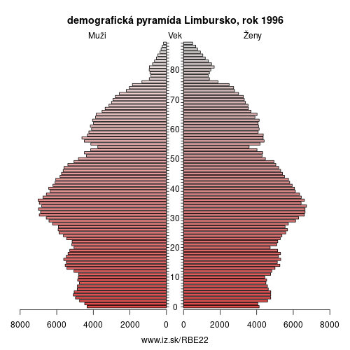 demograficky strom BE22 Limbursko 1996 demografická pyramída