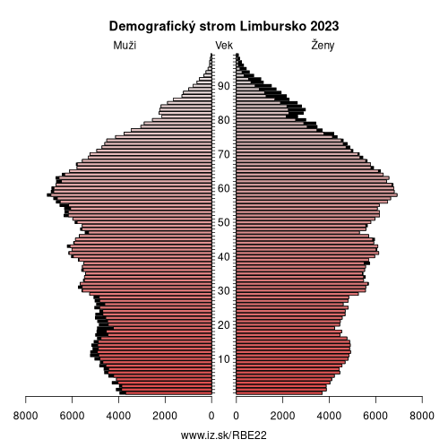 demograficky strom BE22 Limbursko demografická pyramída