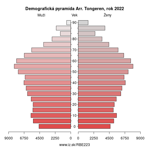 demograficky strom BE223 Arr. Tongeren demografická pyramída