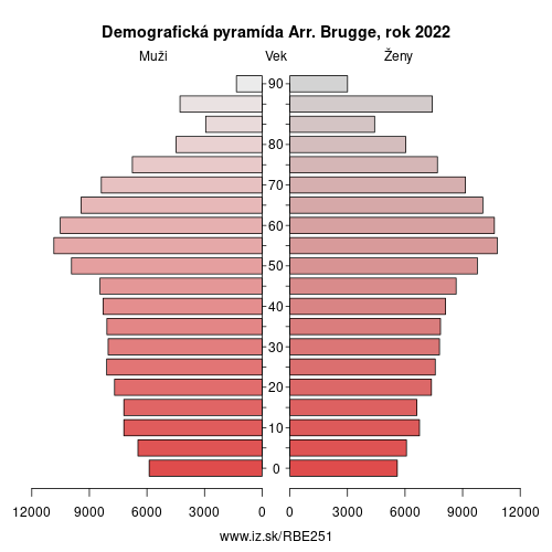 demograficky strom BE251 Arr. Brugge demografická pyramída