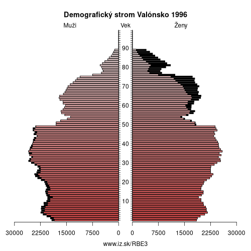 demograficky strom BE3 Valónsko 1996 demografická pyramída