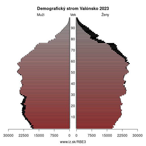 demograficky strom BE3 Valónsko demografická pyramída