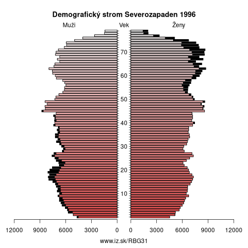 demograficky strom BG31 Severozapaden 1996 demografická pyramída