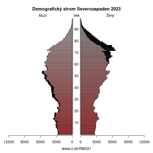 demograficky strom BG31 Severozapaden demografická pyramída