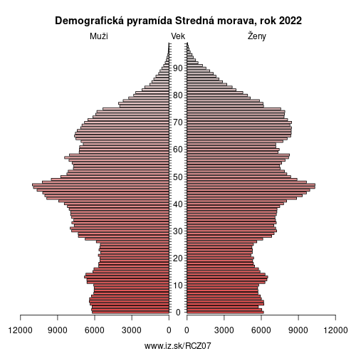 demograficky strom CZ07 Stredná morava demografická pyramída
