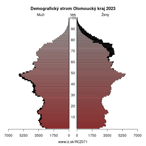 demograficky strom CZ071 Olomoucký kraj demografická pyramída