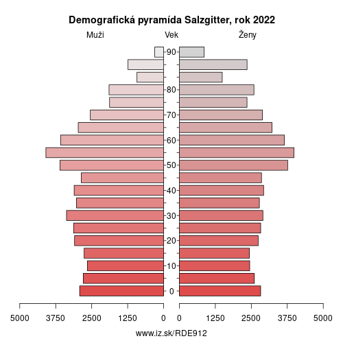 demograficky strom DE912 Salzgitter demografická pyramída