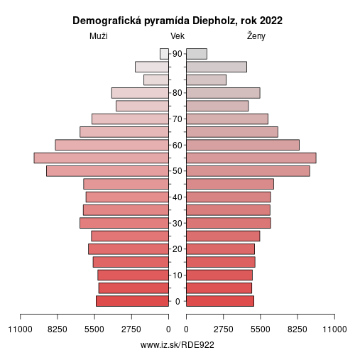 demograficky strom DE922 Diepholz demografická pyramída