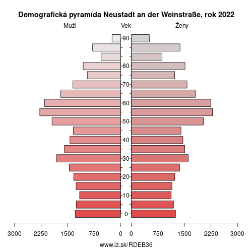 demograficky strom DEB36 Neustadt an der Weinstraße demografická pyramída