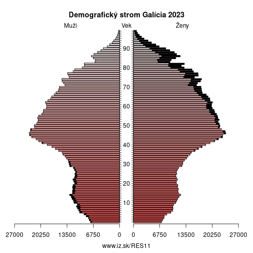 demograficky strom ES11 Galícia demografická pyramída