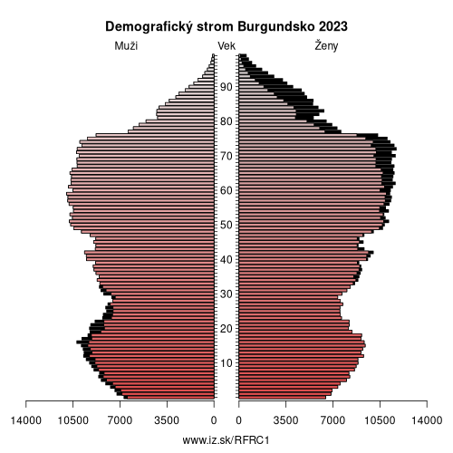 demograficky strom FRC1 Burgundsko demografická pyramída