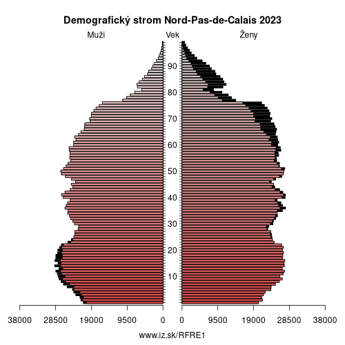 demograficky strom FRE1 Nord-Pas-de-Calais demografická pyramída