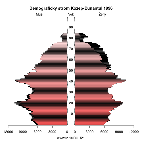 demograficky strom HU21 Kozep-Dunantul 1996 demografická pyramída