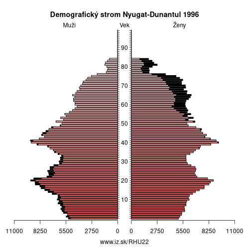 demograficky strom HU22 Nyugat-Dunantul 1996 demografická pyramída