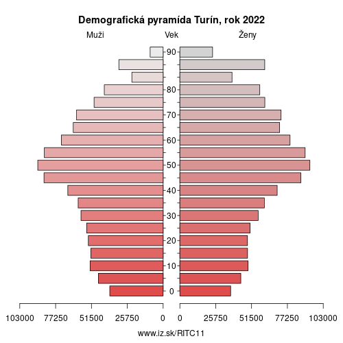 demograficky strom ITC11 Turín demografická pyramída