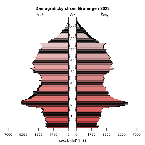 demograficky strom NL11 Groningen demografická pyramída