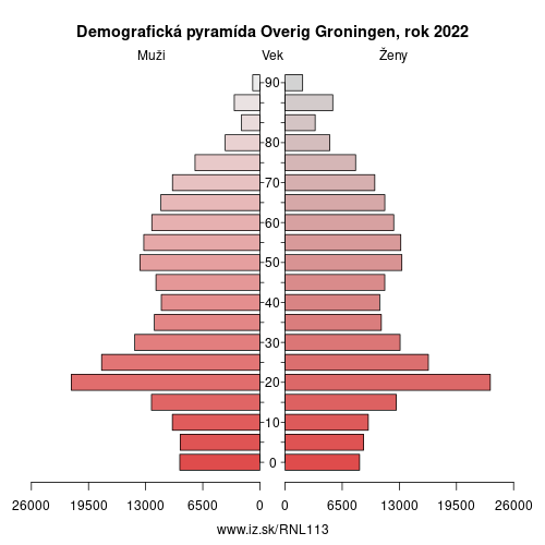 demograficky strom NL113 Overig Groningen demografická pyramída