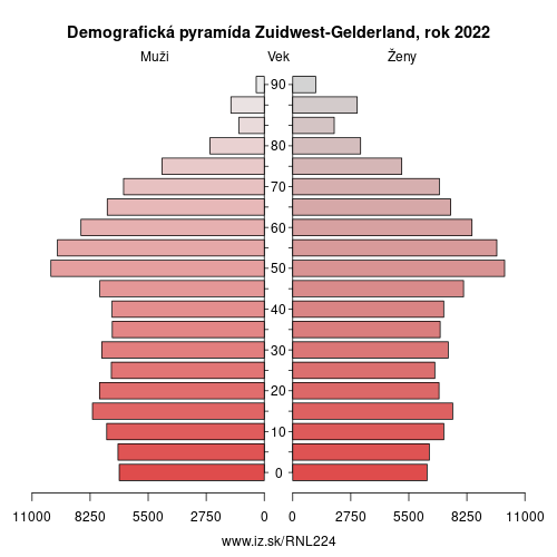 demograficky strom NL224 Zuidwest-Gelderland demografická pyramída