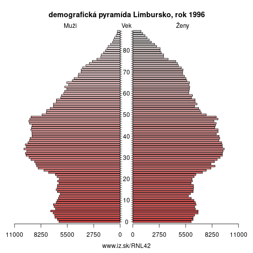 demograficky strom NL42 Limbursko 1996 demografická pyramída
