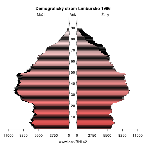 demograficky strom NL42 Limbursko 1996 demografická pyramída