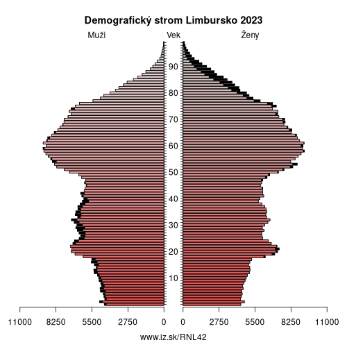 demograficky strom NL42 Limbursko demografická pyramída