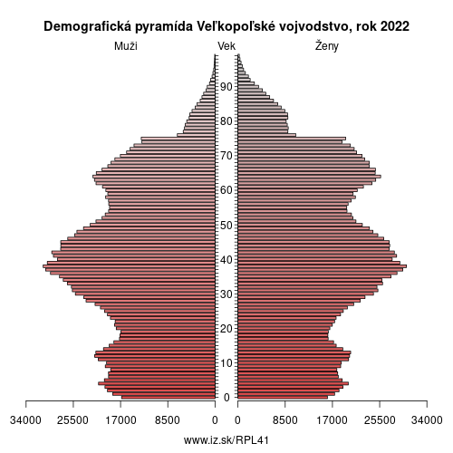 demograficky strom PL41 Veľkopoľské vojvodstvo demografická pyramída