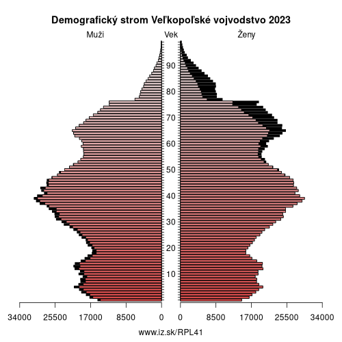 demograficky strom PL41 Veľkopoľské vojvodstvo demografická pyramída