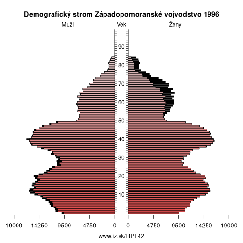 demograficky strom PL42 Západopomoranské vojvodstvo 1996 demografická pyramída