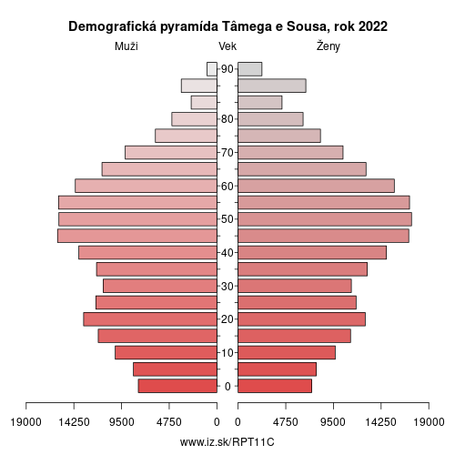 demograficky strom PT11C Tâmega e Sousa demografická pyramída