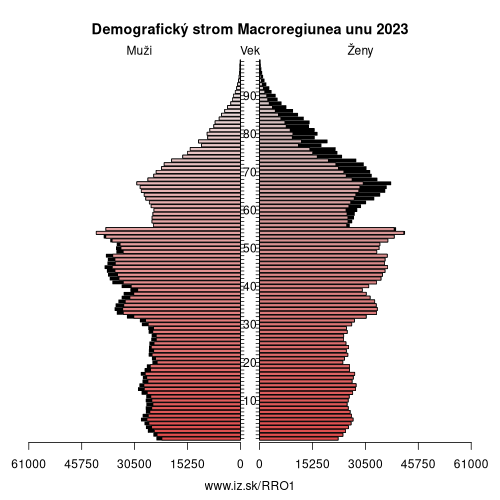 demograficky strom RO1 Macroregiunea unu demografická pyramída