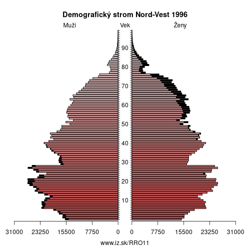 demograficky strom RO11 Nord-Vest 1996 demografická pyramída