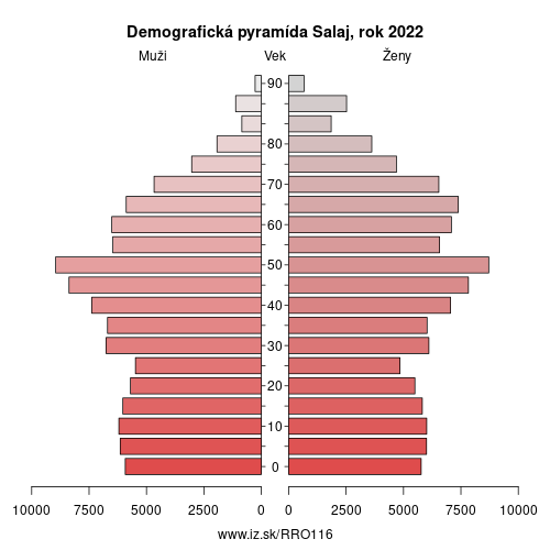 demograficky strom RO116 Salaj demografická pyramída