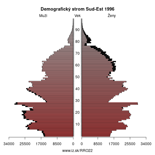 demograficky strom RO22 Sud-Est 1996 demografická pyramída