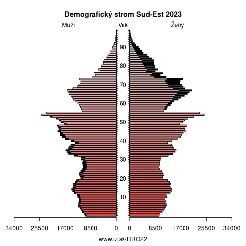 demograficky strom RO22 Sud-Est demografická pyramída