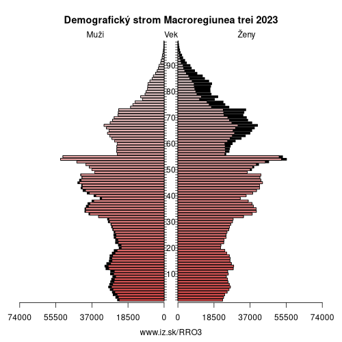 demograficky strom RO3 Macroregiunea trei demografická pyramída