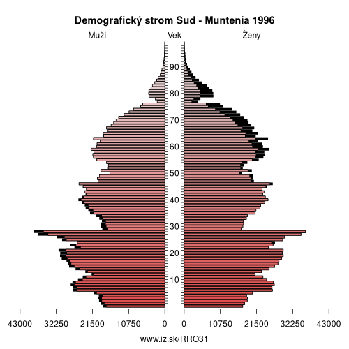 demograficky strom RO31 Sud – Muntenia 1996 demografická pyramída