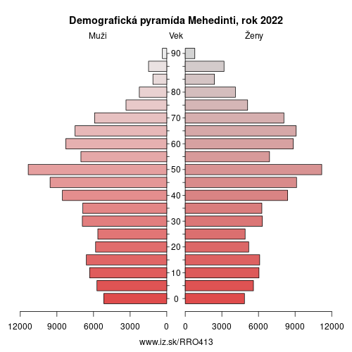 demograficky strom RO413 Mehedinti demografická pyramída