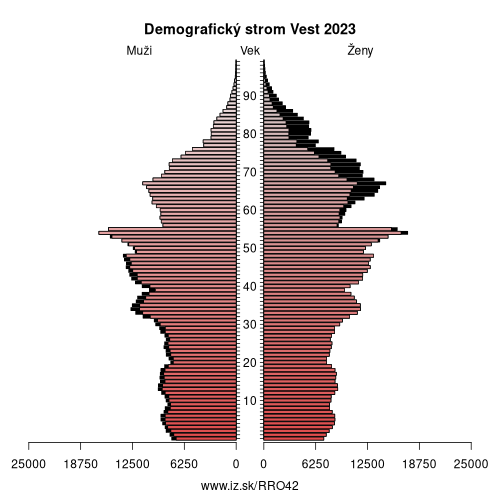 demograficky strom RO42 Vest demografická pyramída